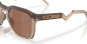 Product image 5 of the product “HSTN SQ Sunglasses matte rootbeer/prizm tungsten ”