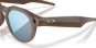 Artikelbild 5 des Artikels “META AI HSTN Sonnenbrille brown smoke/prizm deep water polarized “