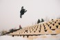 Artikelbild 5 des Artikels “ARTIST EDITION XTRM Snowboard 2025 155“