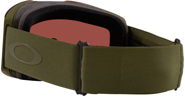 FALL LINE L Goggle 2025 matte dark brush/prizm sage gold iridium 