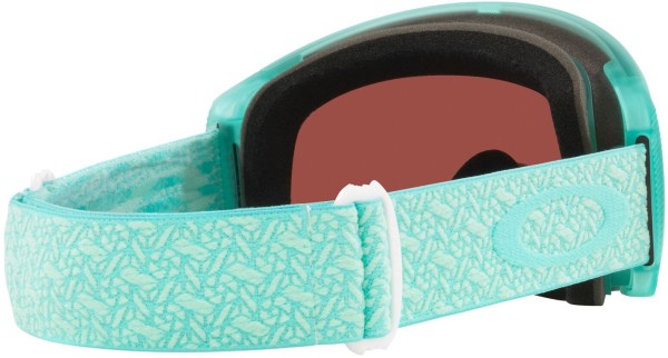 FLIGHT TRACKER M Schneebrille 2023 jasmine aura/prizm sage gold 