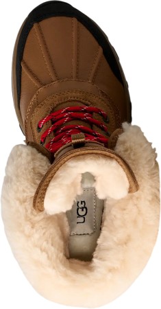 WOMEN ADIRONDACK XXV Boot 2026 chestnut 