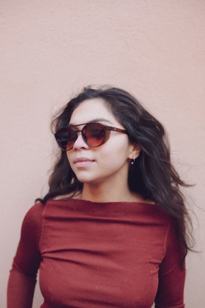 RICKARD Sonnenbrille coffee/brown gradient polarized 