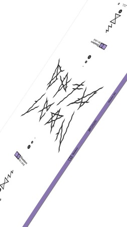 DISASTER WIDE Snowboard 2024 153W