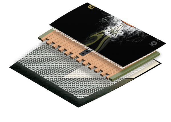 DARY Z LTD Wakeboard 2026 