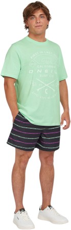 JACK O'NEILL MUIR T-Shirt 2025 mildrew mint 