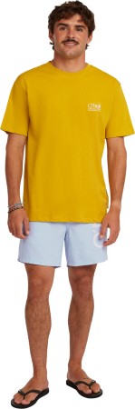 CALI T-Shirt 2026 angel fern 