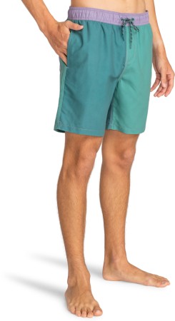 ALL DAY INTERCHANGE LAY BACK 17,5 Boardshort 2024 jade stone 