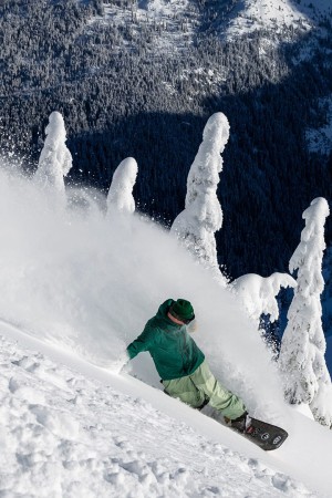 GORE-TEX GT THERMAGRAPH SHELL Jacket 2026 emerald green 