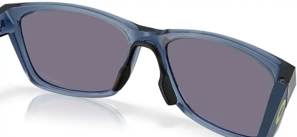 PARACORD Sonnenbrille transparent abyss/prizm grey 