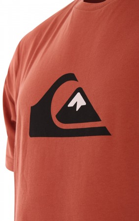 X WH1 COMP LOGO T-Shirt 2020 redwood 
