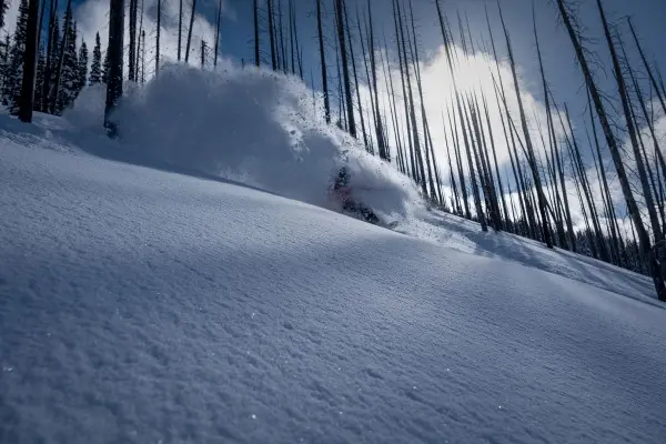 OPTISPLITSTIC Splitboard 2024 