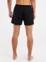 Artikelbild 6 des Artikels “PRTYESSINE Boardshort 2023 true black “