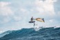 Artikelbild 6 des Artikels “ROAMER S Wing Foilboard 5,9“