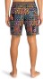 Artikelbild 6 des Artikels “WASTED TIMES LAY BACK 18,5 Boardshort 2024 multi “
