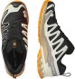 Artikelbild 6 des Artikels “XA PRO 3D V9 GTX Schuh 2026 black/vanilla ice/turmeric 47 1/3“