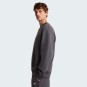 Artikelbild 6 des Artikels “ESSENTIAL LIGHT Sweater 2026 anthracite grey S“