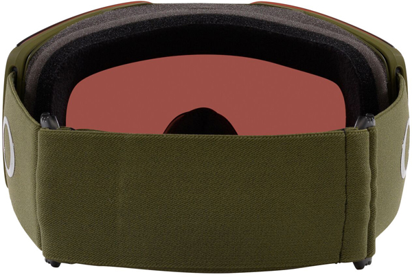FALL LINE L Goggle 2025 matte dark brush/prizm sage gold iridium 