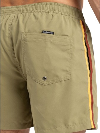 EVERYDAY BEACH 15 Boardshort 2025 aloe 