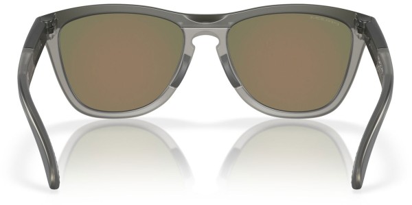 FROGSKINS RANGE Sunglasses matte grey smoke/grey ink/prizm ruby 