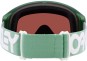 Artikelbild 7 des Artikels “FLIGHT TRACKER M Schneebrille 2025 b1b matte jade/prizm sage gold iridium “