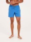 Artikelbild 7 des Artikels “DAVEY 16 Boardshort 2025 gladio blue S“