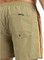 Artikelbild 7 des Artikels “EVERYDAY BEACH 15 Boardshort 2025 aloe XS“