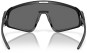 Artikelbild 7 des Artikels “LATCH PANEL Sonnenbrille matte black/prizm black “
