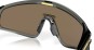 Artikelbild 7 des Artikels “LATCH PANEL Sonnenbrille grey smoke/prizm 24k “