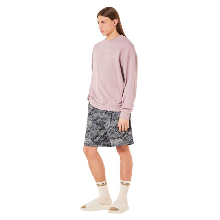 B1B REPEATED CREWNECK Sweater 2025 toadstool 
