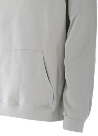 MINI FLAG 2 Hoodie 2023 light sage 