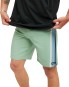 Artikelbild 8 des Artikels “MIRAGE PACIFIC RINSE REVIVAL 19 Boardshort 2026 aloe 36“