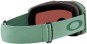 Artikelbild 8 des Artikels “FALL LINE M Schneebrille 2026 matte jade/prizm sage gold iridium “