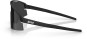 Product image 8 of the product “P006 Sunglasses 2026 matte black/smoke ”