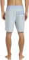 Product image 8 of the product “GOOD TIMES PRO 17,5 Boardshort 2026 fog gray 32”