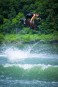 Artikelbild 8 des Artikels “RAGE Wakeboard 2026 139“