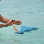 Artikelbild 8 des Artikels “INFINITY SEASCOOTER PRO PACKAGE 2026 “