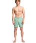 Product image 8 of the product “ALL DAY LAY BACK 16 Boardshort 2026 granite green XXL”