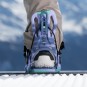 Artikelbild 8 des Artikels “FLOW FENIX Bindung 2026 orchid “