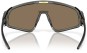 Artikelbild 8 des Artikels “LATCH PANEL Sonnenbrille grey smoke/prizm 24k “