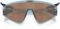 Product image 8 of the product “LATCH PANEL Sunglasses trans stonewash/prizm tungsten ”