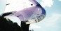 Artikelbild 8 des Artikels “STRIKE 6 QUADX TEST Wing 2026 lilac 4,0“
