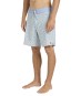 Product image 9 of the product “GOOD TIMES PRO 17,5 Boardshort 2026 fog gray 32”