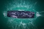 Product image 9 of the product “IMPULSE Wakeboard 2026 151”