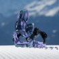 Artikelbild 9 des Artikels “FLOW FENIX Bindung 2026 orchid “