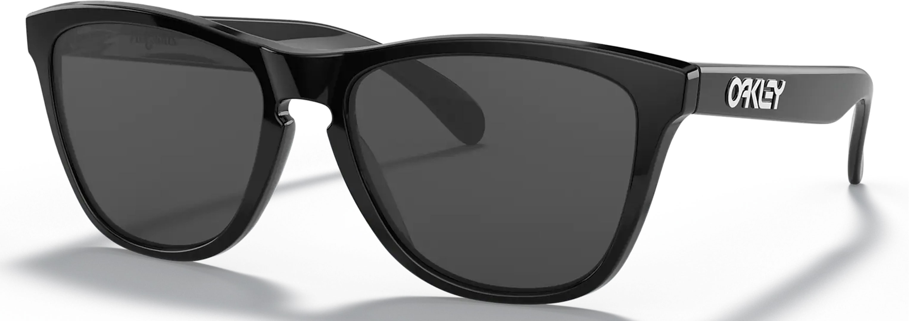 Product image 1 of the product “FROGSKINS Sunglasses polished black/grey ”