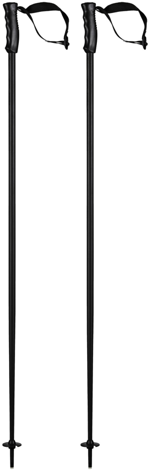 Product image 1 of the product “MULTI PERFORMANCE Poles 2027 black/black 125”