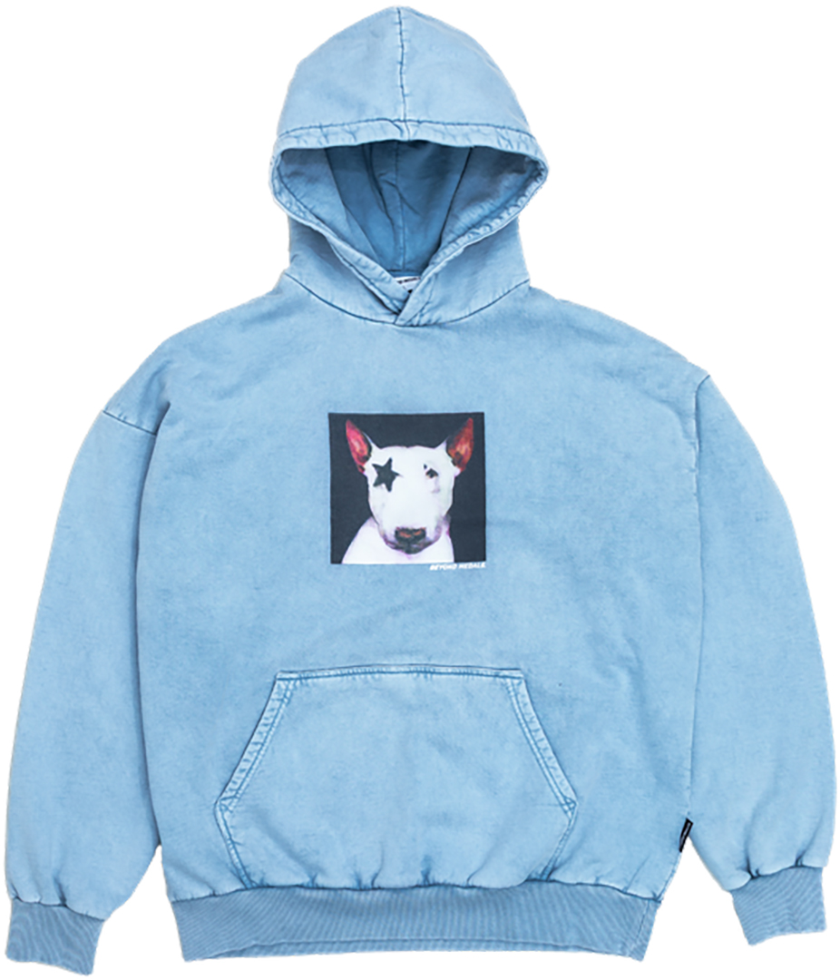 Product image 1 of the product “STAR Hoodie 2027 purple S”