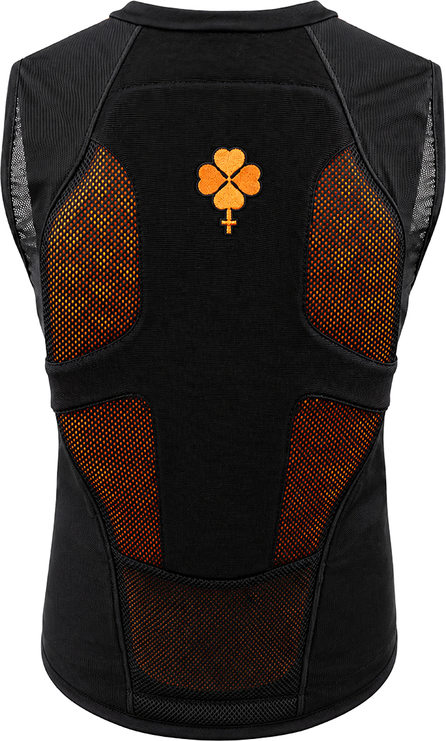Product image 1 of the product “BACKPROTECTOR 2027 black L”