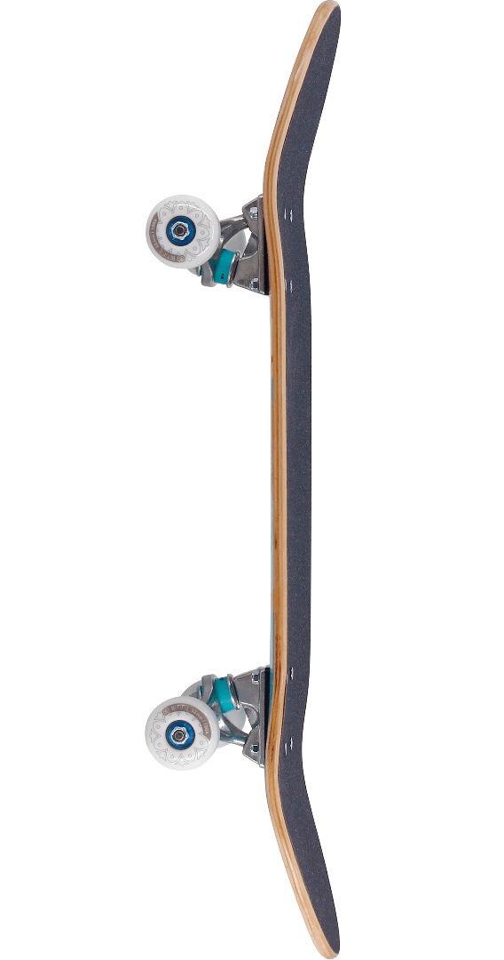 Artikelbild 2 des Artikels “BJOERK KIDS Skateboard 2026 “